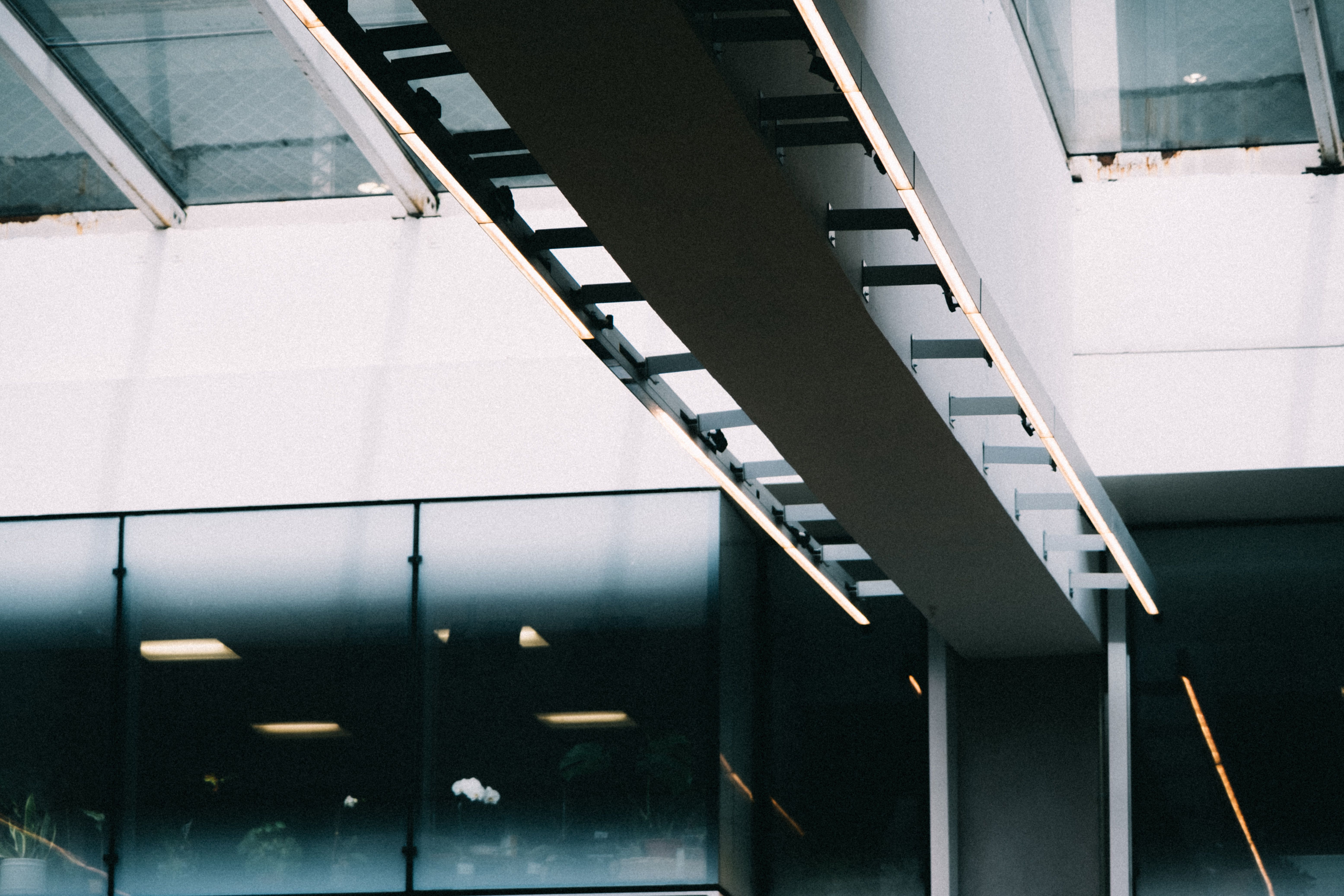 AI Governance and Control